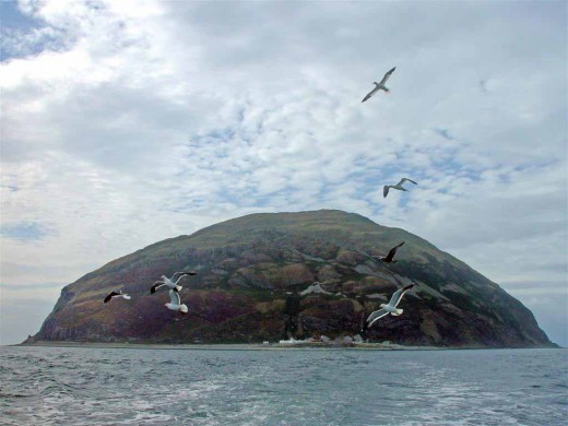 Seabirds flying away from the island.