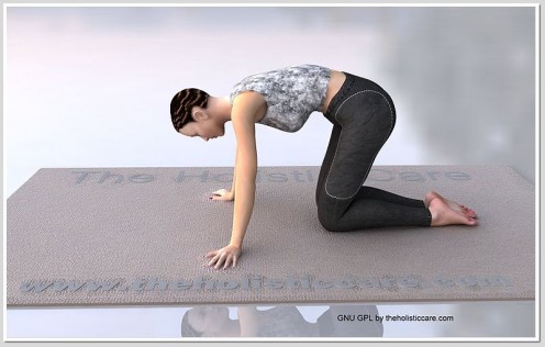 Cat pose helps in toning your abdomen