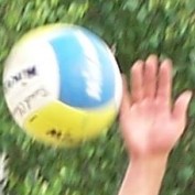 zydd profile image