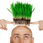 maan1234 profile image