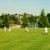 Cricket was being played... Cricket was being played...