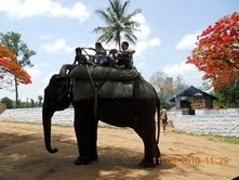 Elephant ride at Dubare forest