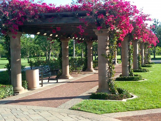 Colonel Bill Barber Marine Corps Memorial Park in Irvine, California.