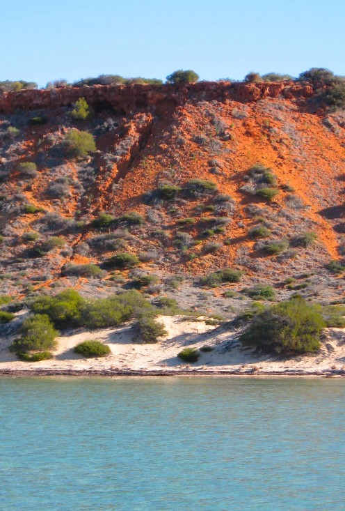 Incredible colour sheme on the foreshores of Shark Bay