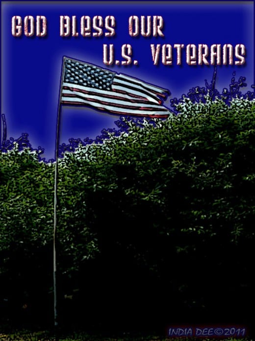 Honoring American Veterans by honoring the American Flag.