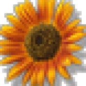 seiya profile image
