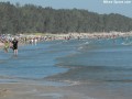 Ontario Beaches and Provincial Parks