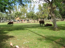 http://s1.hubimg.com/u/5059860_f248.jpg