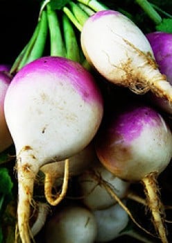 How to Cook Purple Turnips
