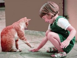 Personality Development: Maturity in Gentleness