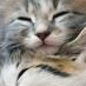 haenc profile image