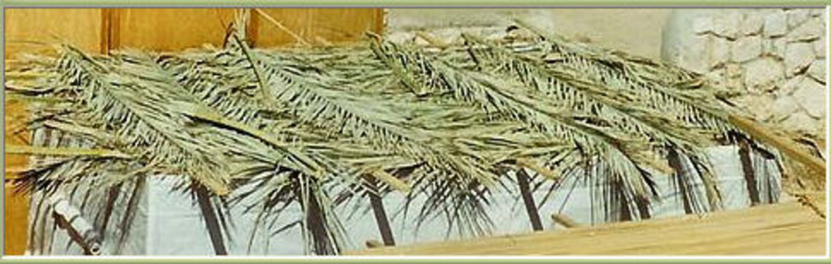 Sukkah Roofs for Sukkot. Cropped by Tricia Mason. see: http://en.wikipedia.org/wiki/File:Sukkah_Roofs.jpg