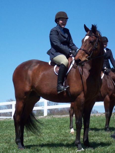 the don horse