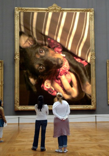 This is how I created my dog's museum with Dumpr.
