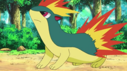 Dawn pokemon Quilava