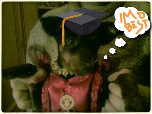 This is just a simple example of Aviary's free photo editor.