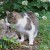 Madam, it is about time. This kitty has waited long enough. Madam, it is about time. This kitty has waited long enough.