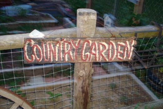 Display signs in your garden, they are available with any saying from the Scrappy Signs Collection by Rented Mule