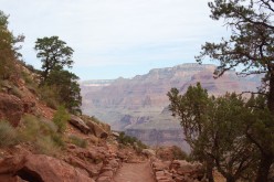 What You Need to Do to Hike in the the Grand Canyon