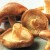 Shiitake Mushrooms Shiitake Mushrooms