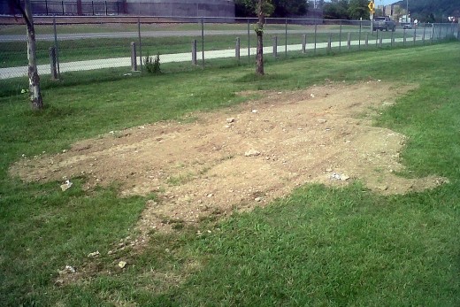 I spread some dirt over the yard at work to fill in some ruts and smooth it out a bit.