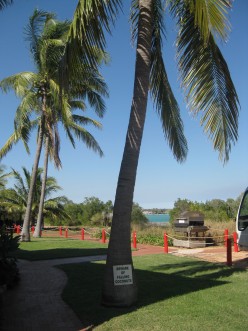 http://s4.hubimg.com/u/5100651_f248.jpg