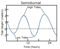 Tides for Fishing
