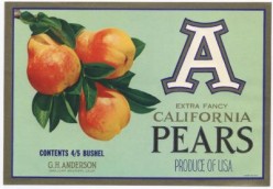 California Pears free cross stitch pattern