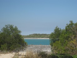http://s1.hubimg.com/u/5115616_f248.jpg