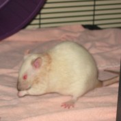 emurph87 profile image