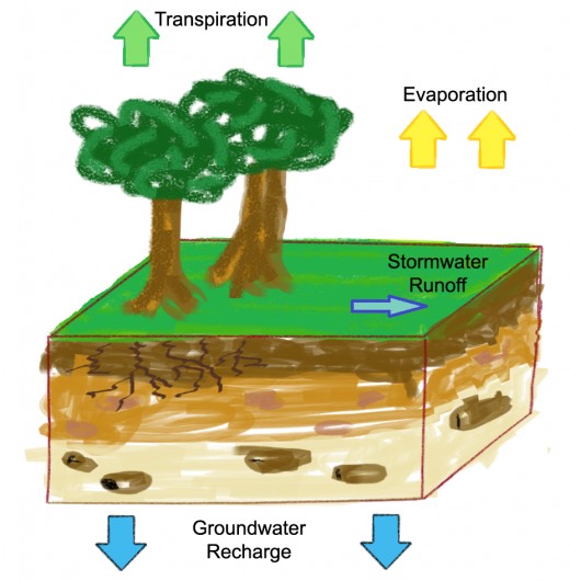 Evapotranspiration is a part of the Hydrologic Cycle