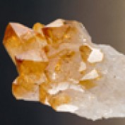 rabika profile image