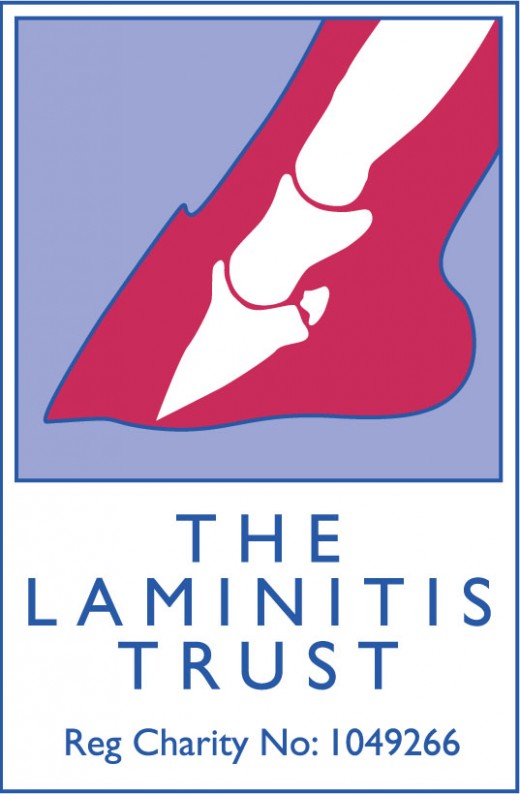 Ensure your feed carries the mark of approval from The Laminitis Trust.