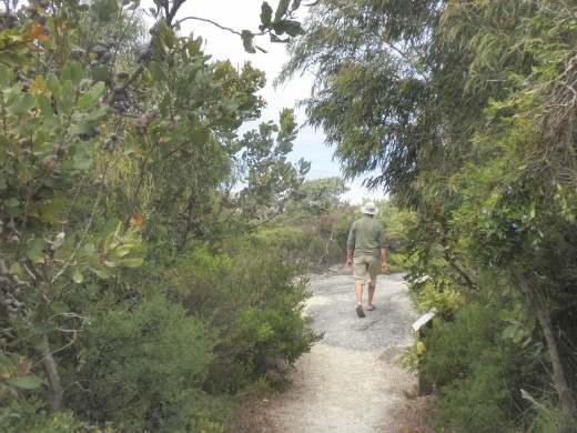 Our optimism doesn't erode under the tide of news about violent conflicts, high unemployment, tornadoes and floods and all the threats and failures that shape human life. Our optimism doesn't erode under the tide of news about violent conflicts, high unemployment, tornadoes and floods and all the threats and failures that shape human life.