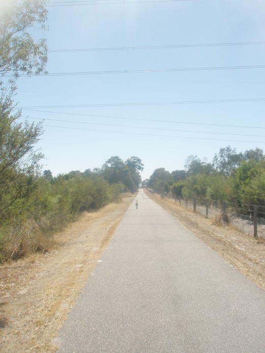 The belief that the future will be much better than the past and present abides us all. It abides in every race, region and socioeconomic level. The belief that the future will be much better than the past and present abides us all. It abides in every race, region and socioeconomic level.