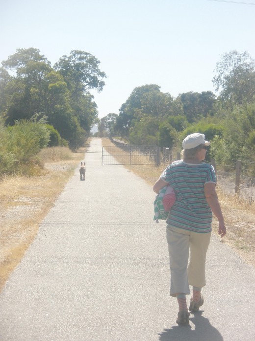 Adults over 60 are just as likely to see the glass half full as young adults. Adults over 60 are just as likely to see the glass half full as young adults.