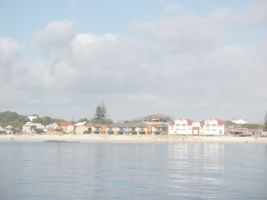 Once people start imagining the future, even the most banal life events seem to take a dramatic turn for the better. Optimism starts with our mental time travel. Once people start imagining the future, even the most banal life events seem to take a dramatic turn for the better. Optimism starts with our mental time travel.