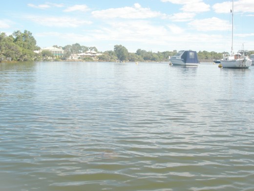 Our brain is hardwired for hope. Our memories are susceptible to inaccuracies as the core function of our memory system is not designed to perfectly reply past events but to flexibly construct future scenarios in our mind. Our brain is hardwired for hope. Our memories are susceptible to inaccuracies as the core function of our memory system is not designed to perfectly reply past events but to flexibly construct future scenarios in our mind.