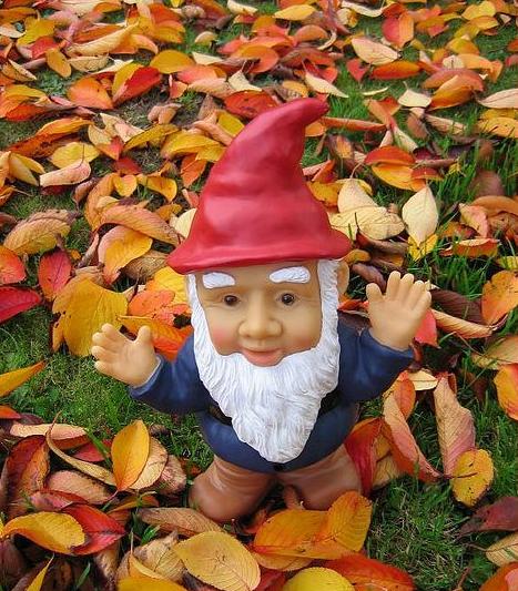 Gnome By Sir Fish