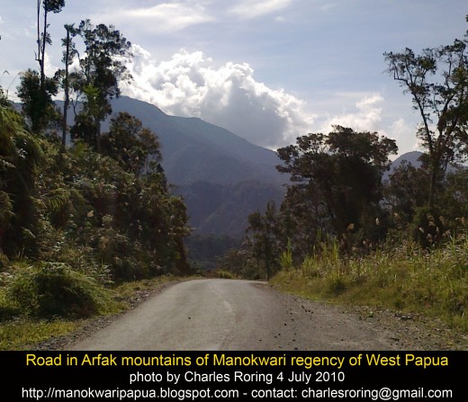 This is a road leading to Arfak mountains in Manokwari regency of West Papua Province of Indonesia