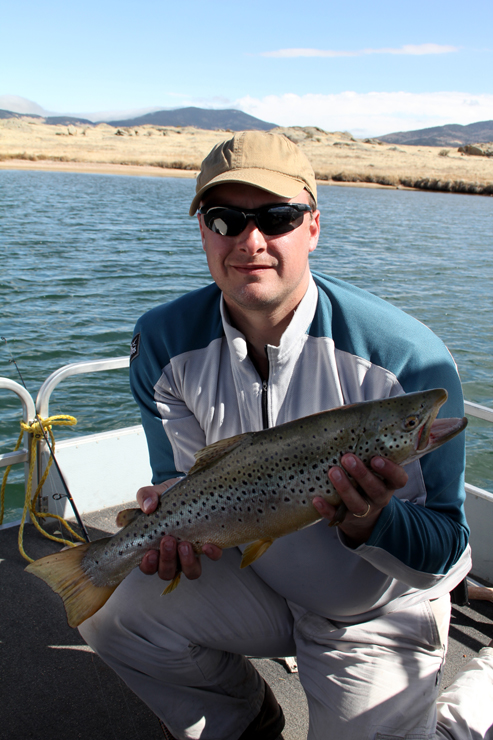 Big Brown Trout from Eleven Mile State Park