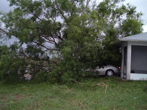 Front of my house after Hurricane Charley. The little black head at the front porch, is my little dog Poppy peeking out .