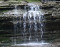 Shamanism is for Everyone Part 1