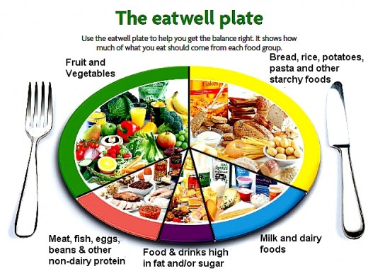 What is the Best Nutrition Guide - Food Pyramid or Plate | hubpages