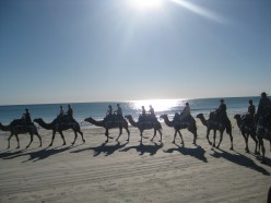 http://s2.hubimg.com/u/5143077_f248.jpg