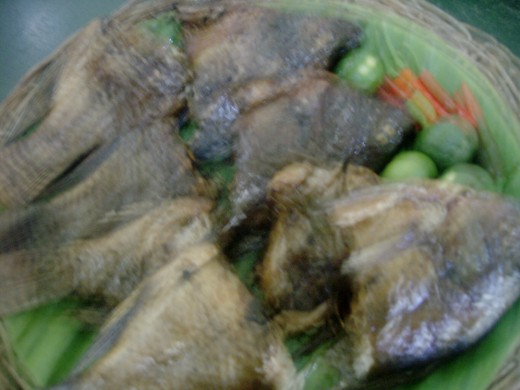 Grilled Tilapia