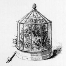 A Wardian Case