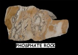 Phosphoric acid is made from phosphate rock. NOT A FOOD.