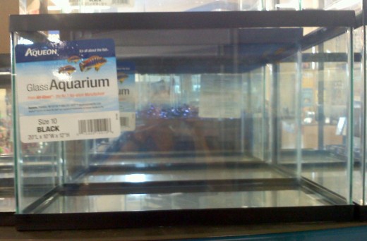 A glass aquarium makes a great hamster home!