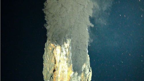 This "black smoker" in the depths of the ocean provides the energy gradient to sustain a wide variety of complex life forms.